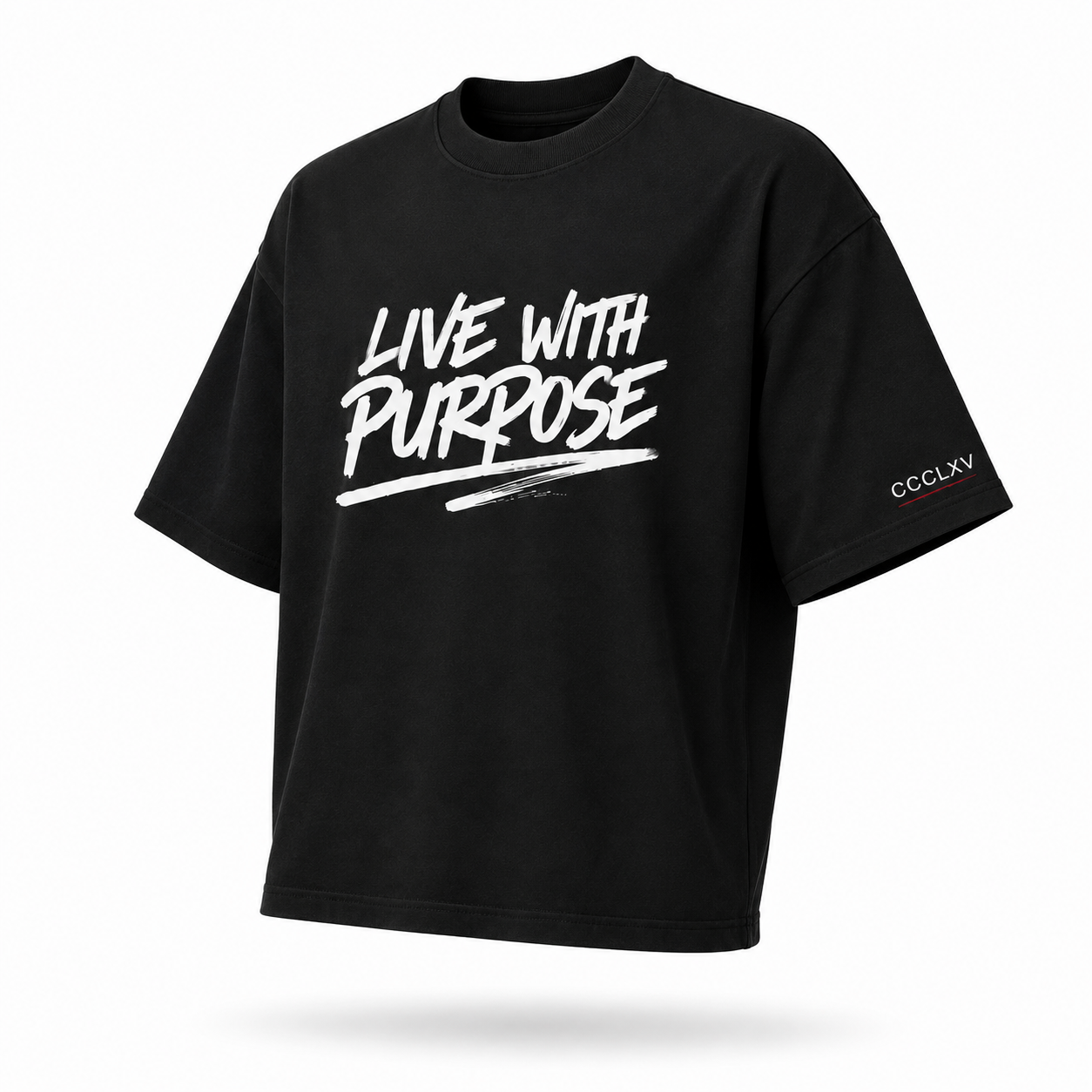 LIVE WITH PURPOSE Premium T-Shirt
